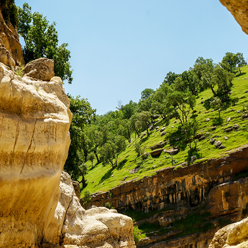 دارالترجمه رسمی ایلام